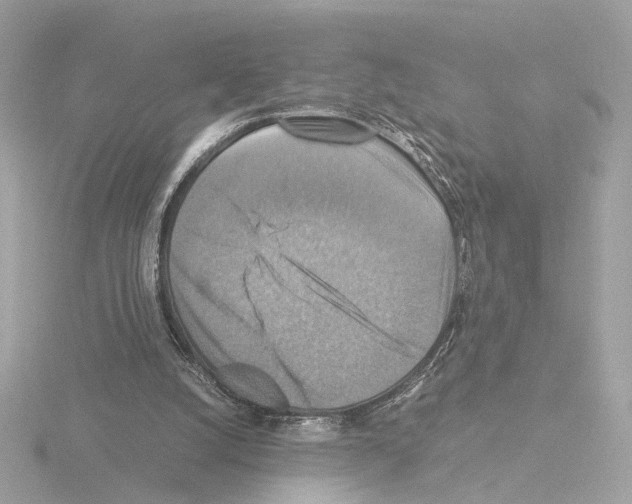 X0000115510056200912181454