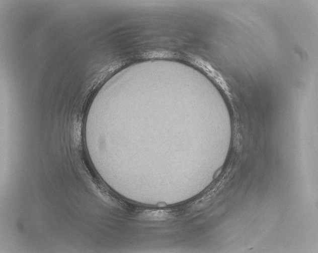 X0000115510057200912181454