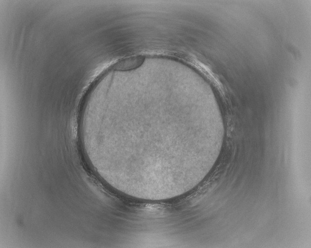 X0000115510060200912181454