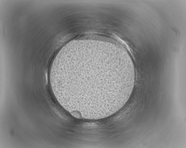 X0000115510061200912181454