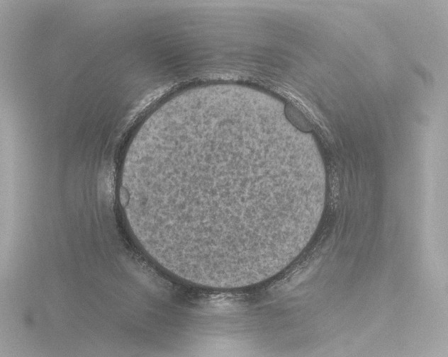 X0000115510064200912181454