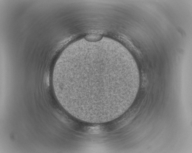 X0000115510068200912181454