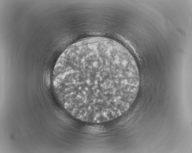 X0000115510069200912181454