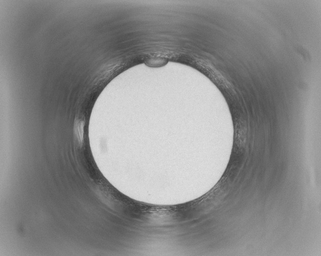 X0000115510070200912181454