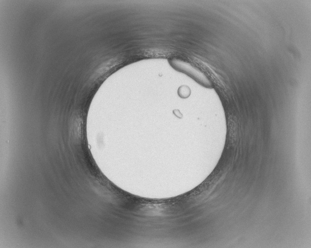 X0000115510071200912181454