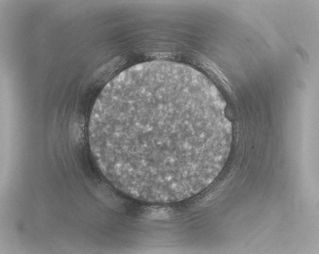 X0000115510073200912181454