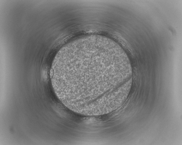 X0000115510074200912181454