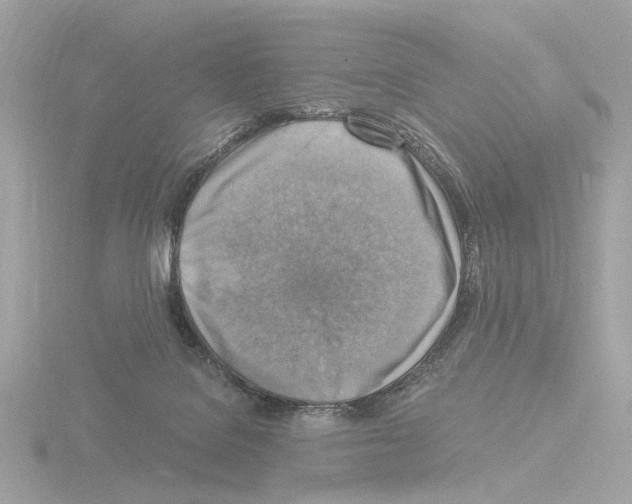 X0000115510076200912181454