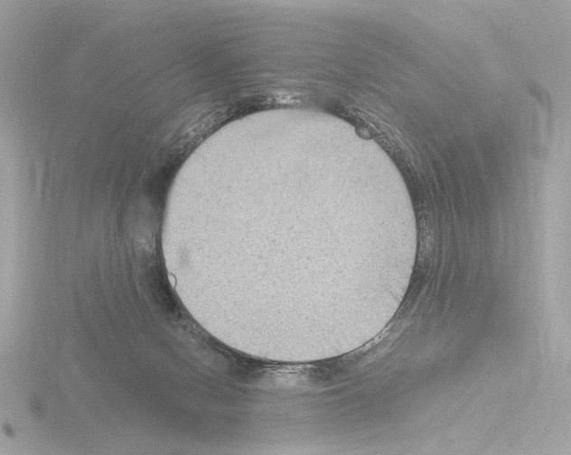 X0000115510078200912181454