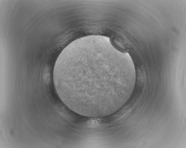 X0000115510080200912181454