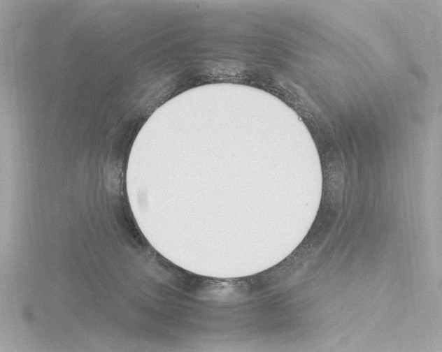 X0000115510083200912181454