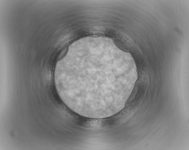 X0000115510084200912181454