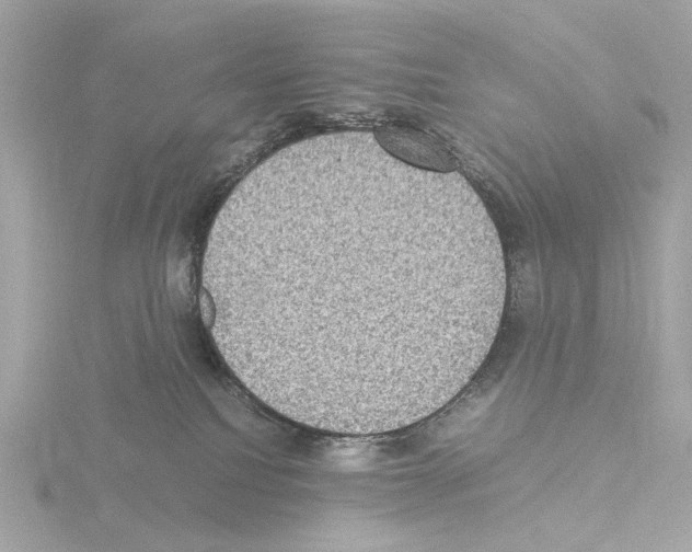 X0000115510088200912181454