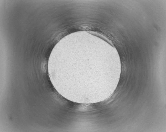 X0000115510090200912181454