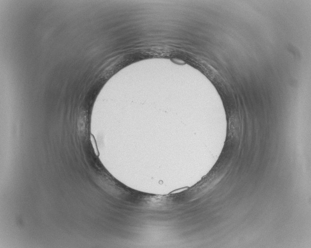 X0000115510092200912181454