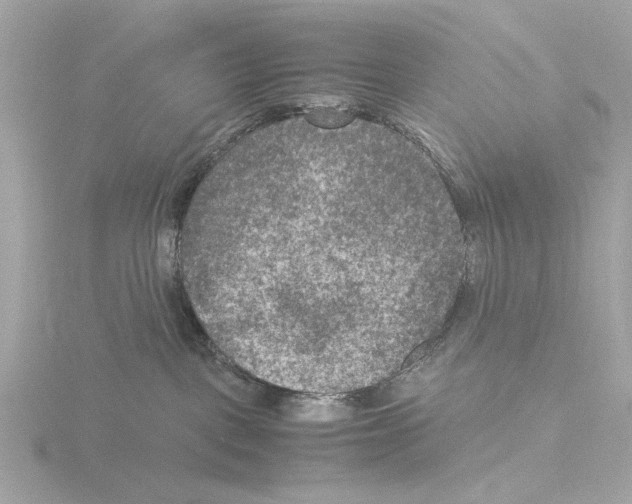 X0000115510093200912181454