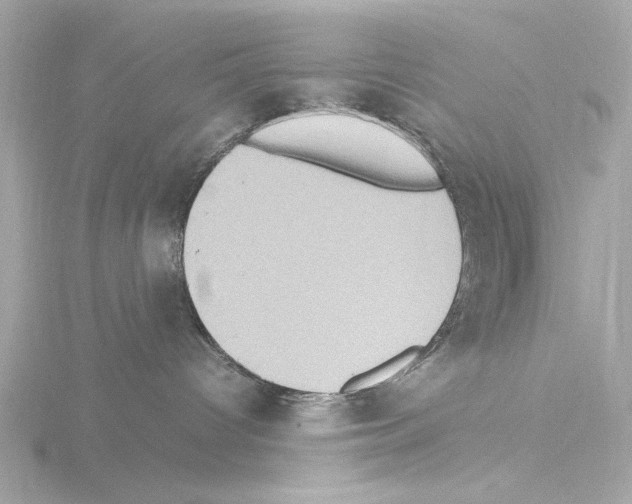 X0000115510096200912181454