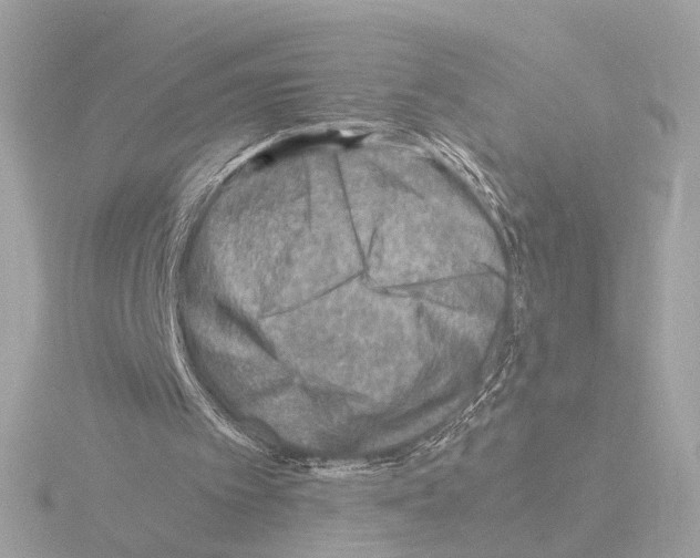 X0000115510097200912181454