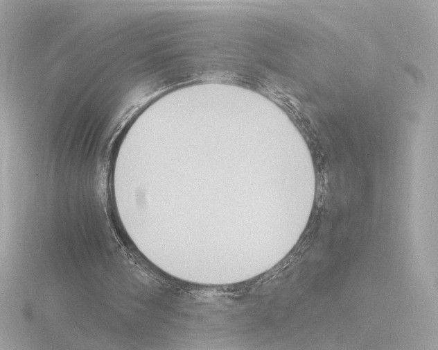 X0000115510098200912181454