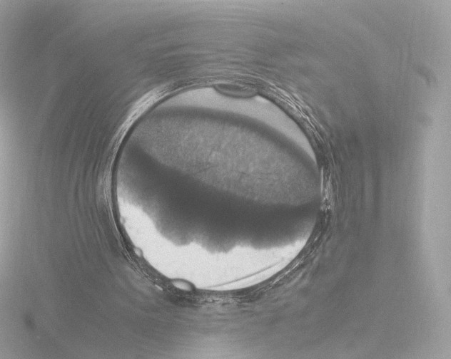 X0000115510099200912181454