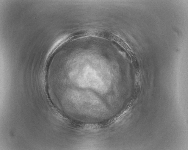 X0000115510101200912181454