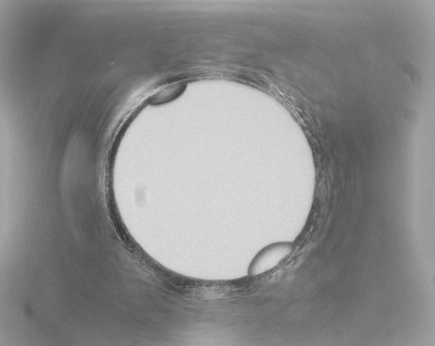 X0000115510103200912181454