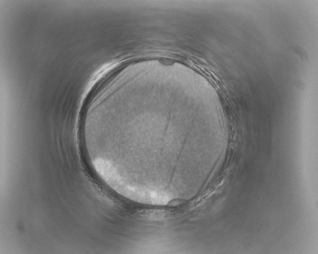 X0000115510104200912181454