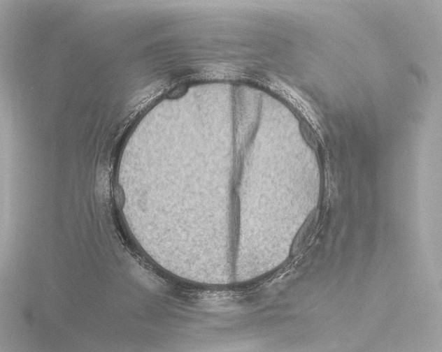 X0000115510105200912181454