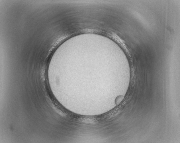 X0000115510106200912181454