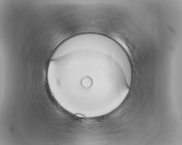 X0000115510109200912181454