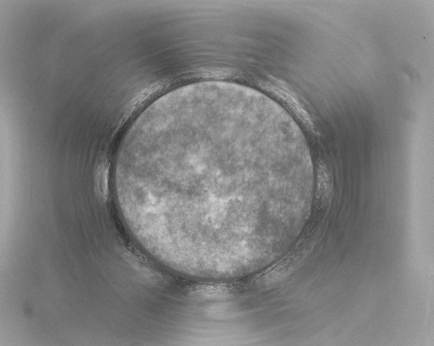 X0000115510110200912181454