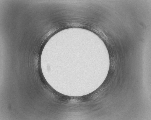 X0000115510111200912181454