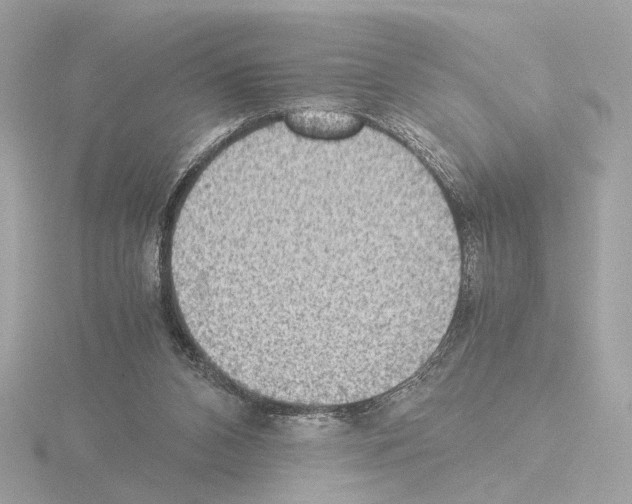 X0000115510112200912181454