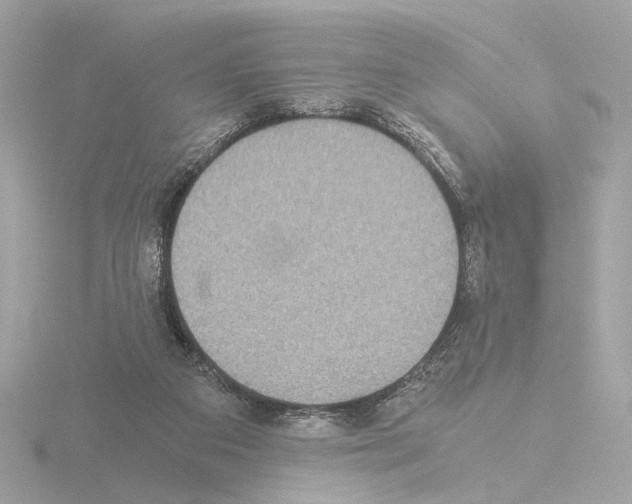 X0000115510113200912181454