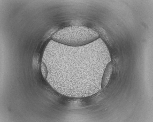 X0000115510116200912181454