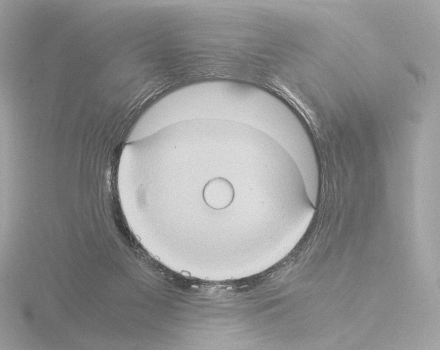 X0000115510117200912181454