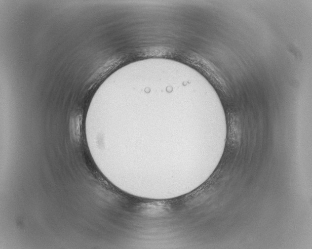 X0000115510118200912181454