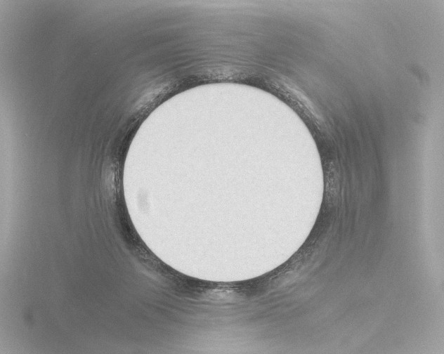 X0000115510119200912181454