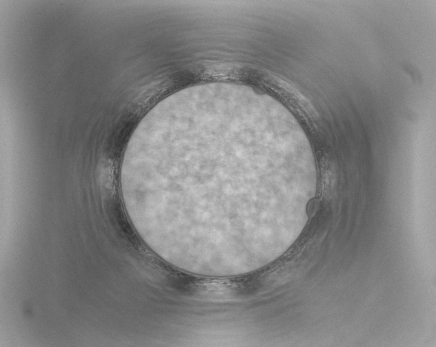 X0000115510121200912181454