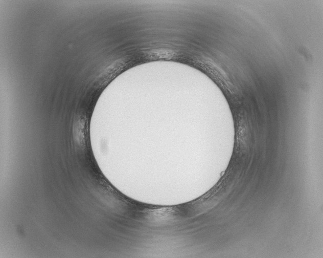 X0000115510122200912181454