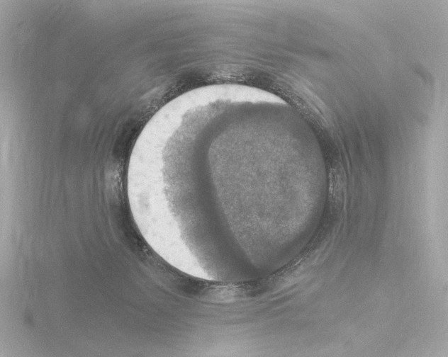 X0000115510127200912181453