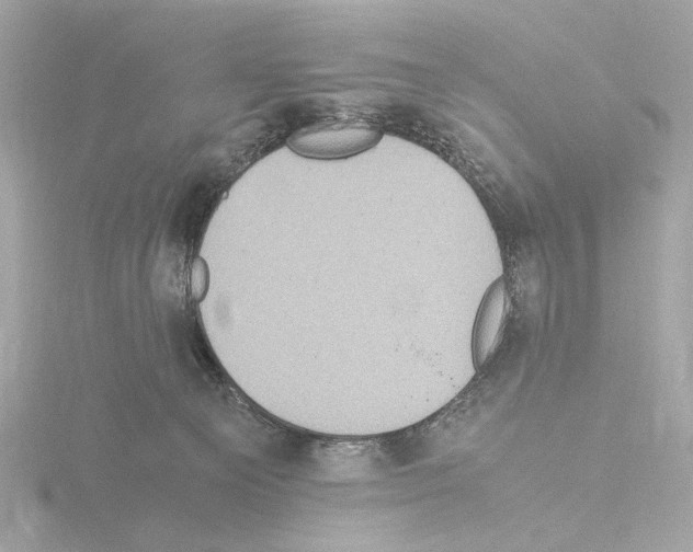 X0000115510129200912181453