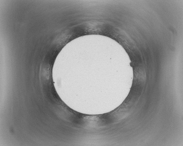 X0000115510133200912181453