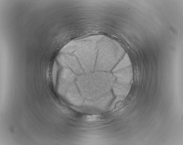 X0000115510134200912181453