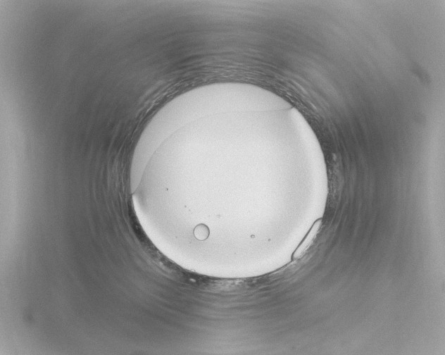 X0000115510136200912181453