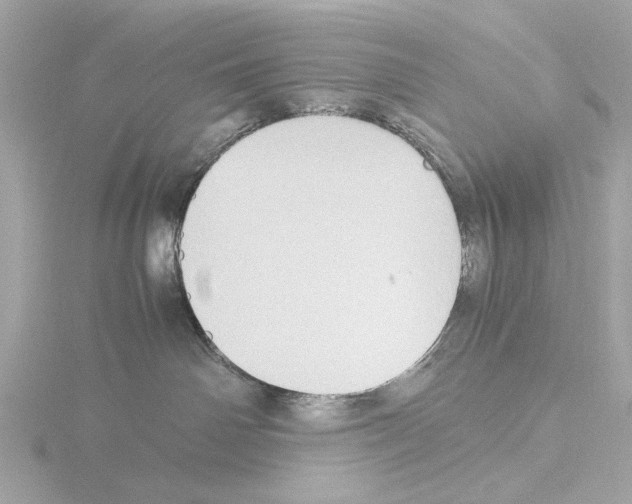 X0000115510142200912181453