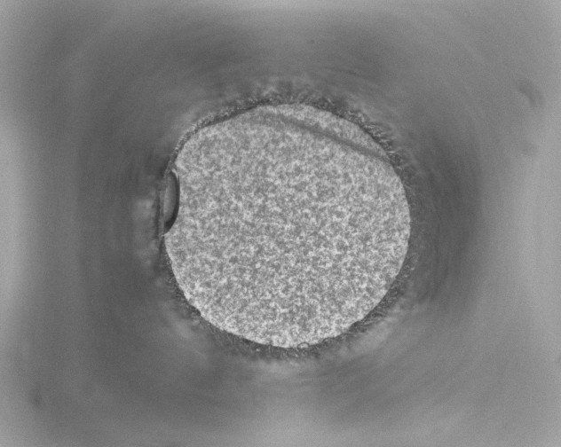 X0000115510144200912181453