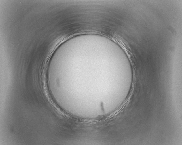 X0000115510145200912181453