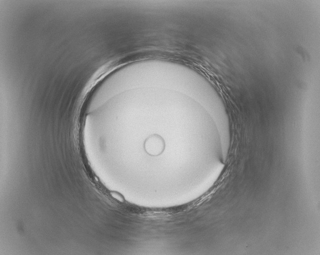 X0000115510150200912181453