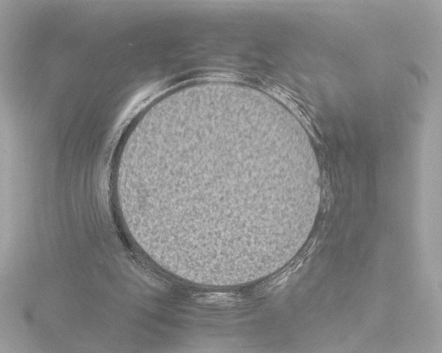 X0000115510151200912181453